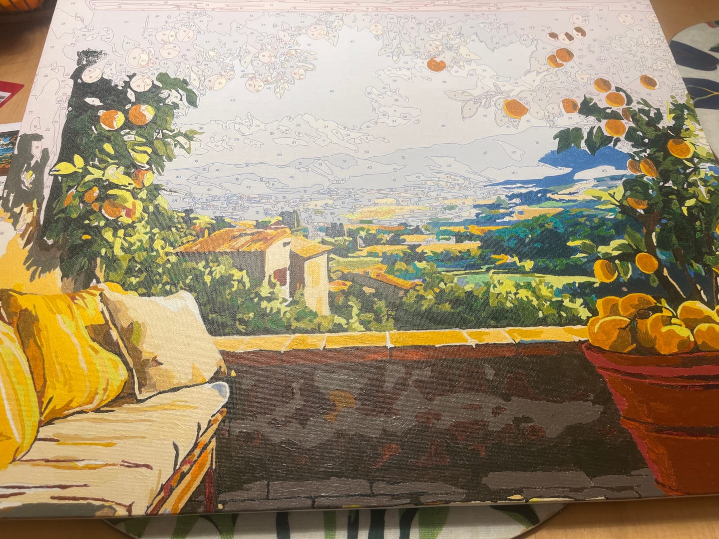 Customer photo review of Lemon Patio View