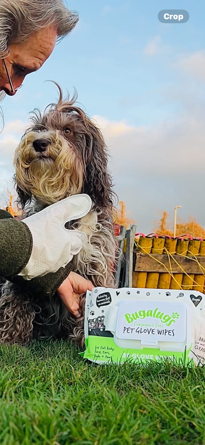 Customer photo review of Glove Pet Wipes for Full Body, Bum & Paws