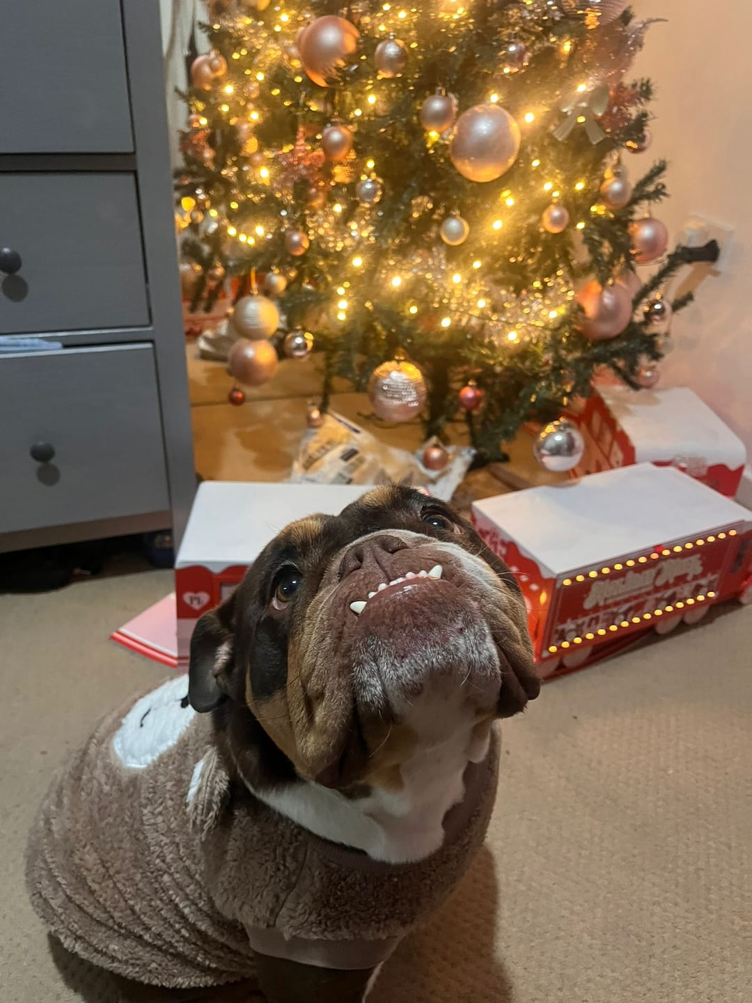 Customer photo review of P.Louise 2025 Advent Calendar Duo