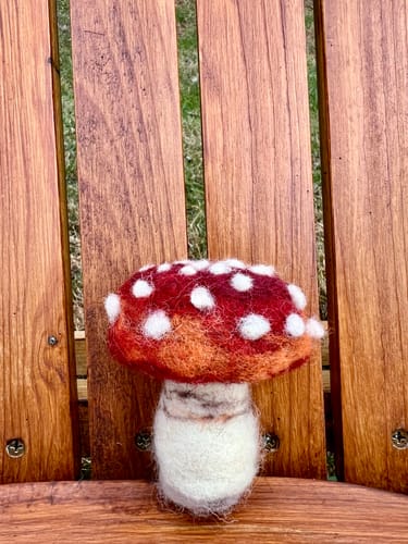 Customer photo review of Sophie Wheatley's Felted Fungi Supplies Box