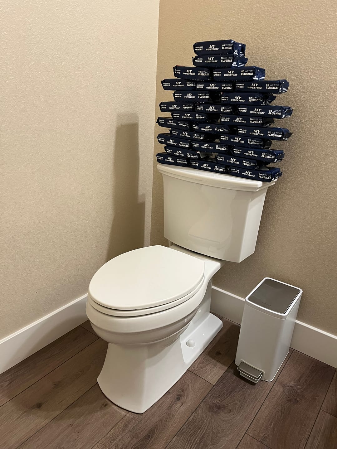 Customer photo review of My Wipes Premium Flushable Wipes
