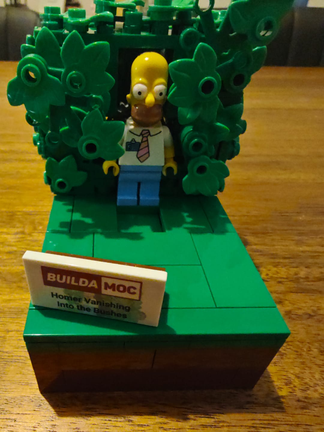 Customer photo review of Homer Vanishing Into the Bushes