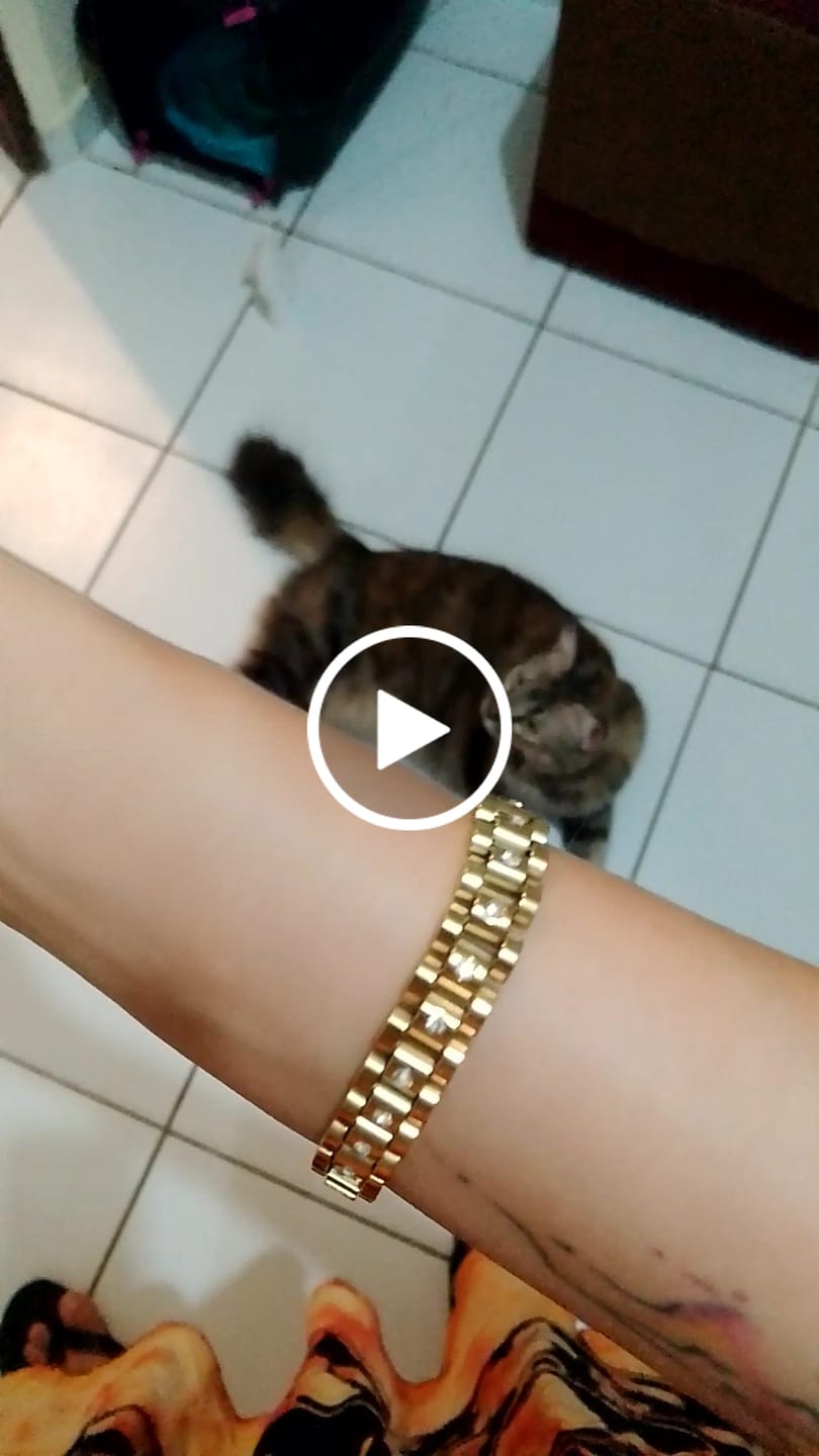 Customer video review of Pulseira Milano Banhado em Ouro 18k