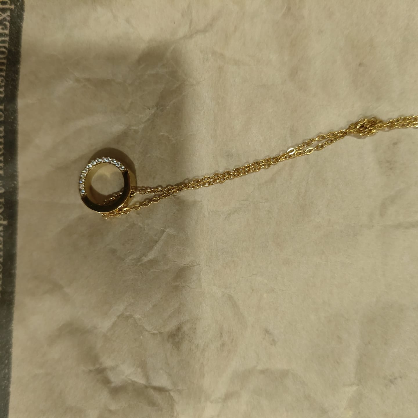 Customer photo review of Tiny Horn Necklace