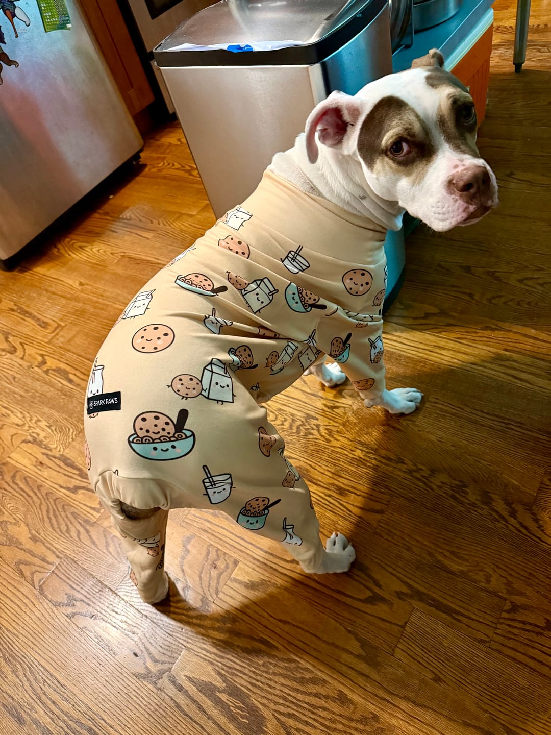 Customer photo review of Dog Pajama - Cookies and Milk
