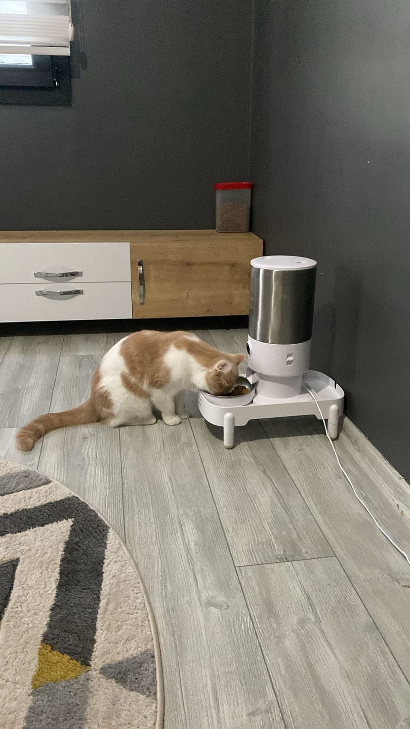 Customer photo review of Çok Fonksiyonlu Stand