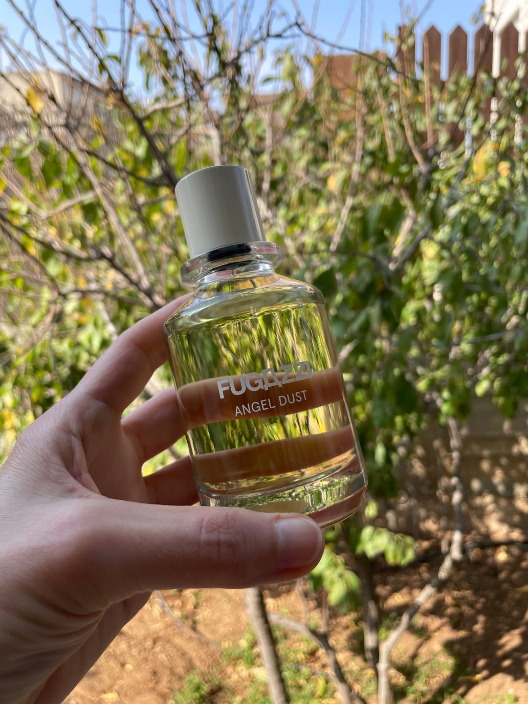 Customer photo review of Fugazzi Angel Dust EDP בושם פוגאזי אנג'ל דאסט יוניסקס