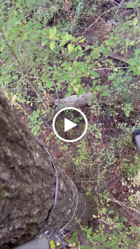 Customer video review of THE .5 HANG-ON