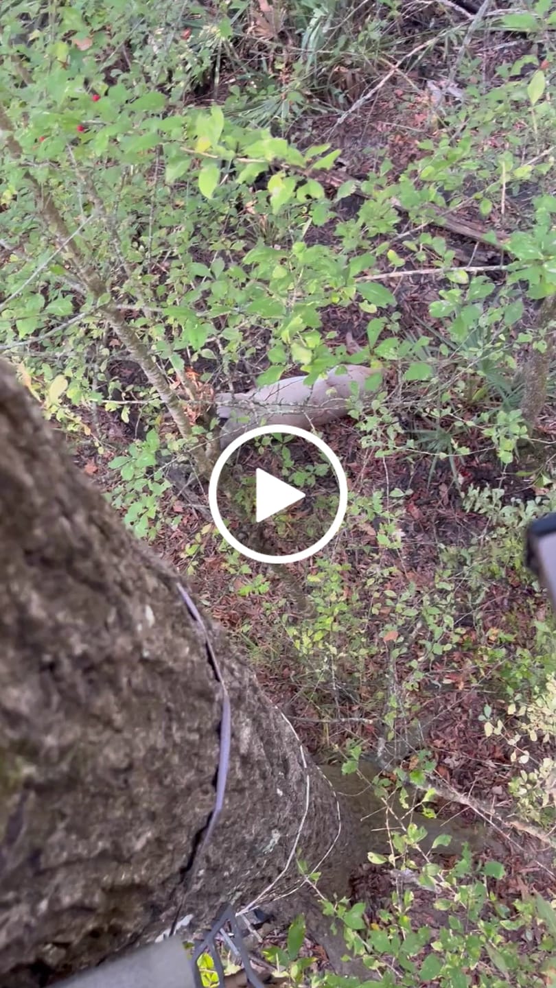 Customer video review of THE .5 HANG-ON