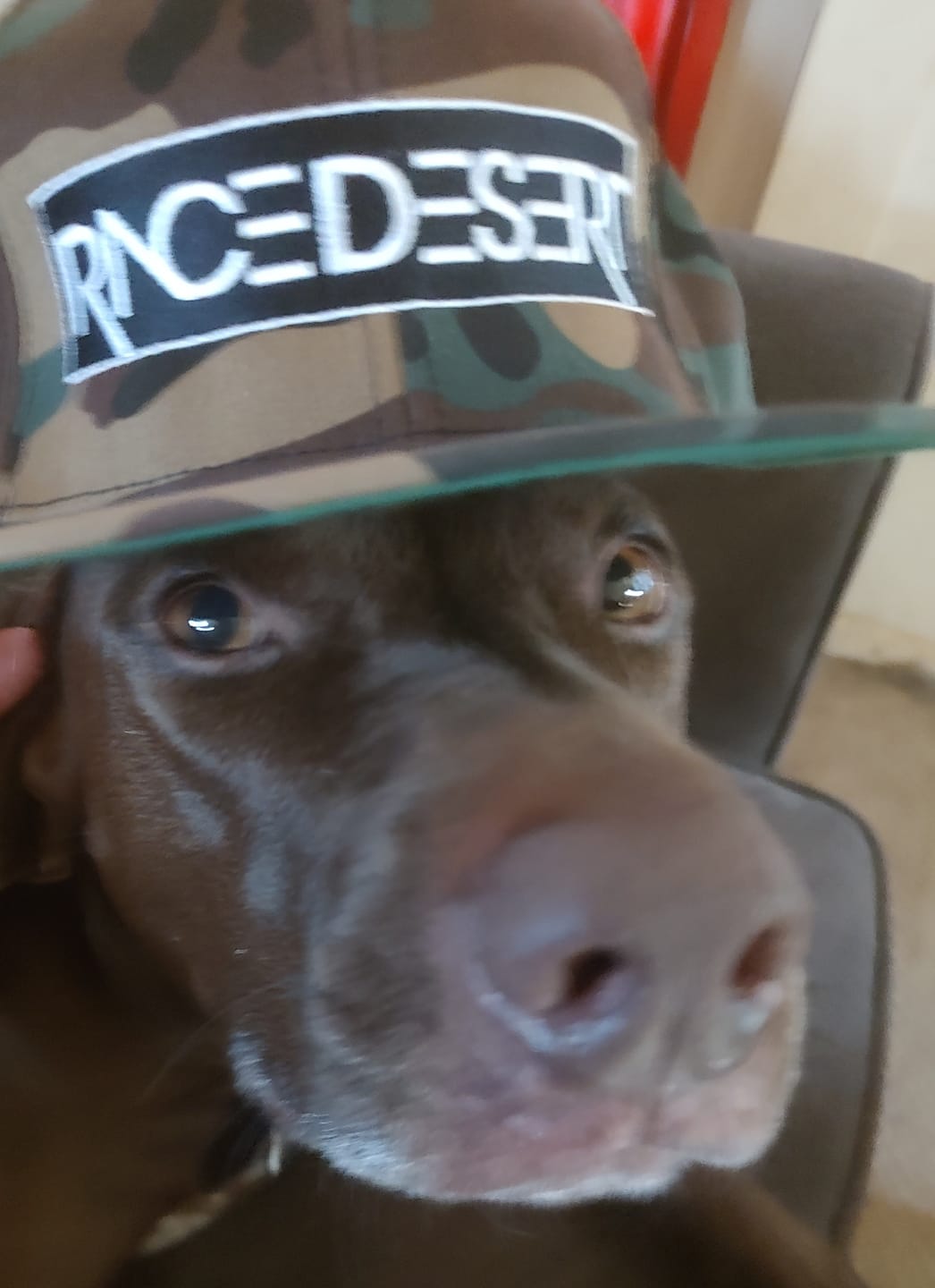 Customer photo review of Race Desert Stencil Snapback Hat