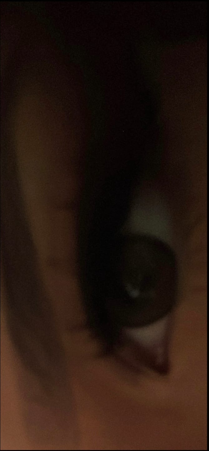 Customer photo review of BELLE | OLIVE BROWN