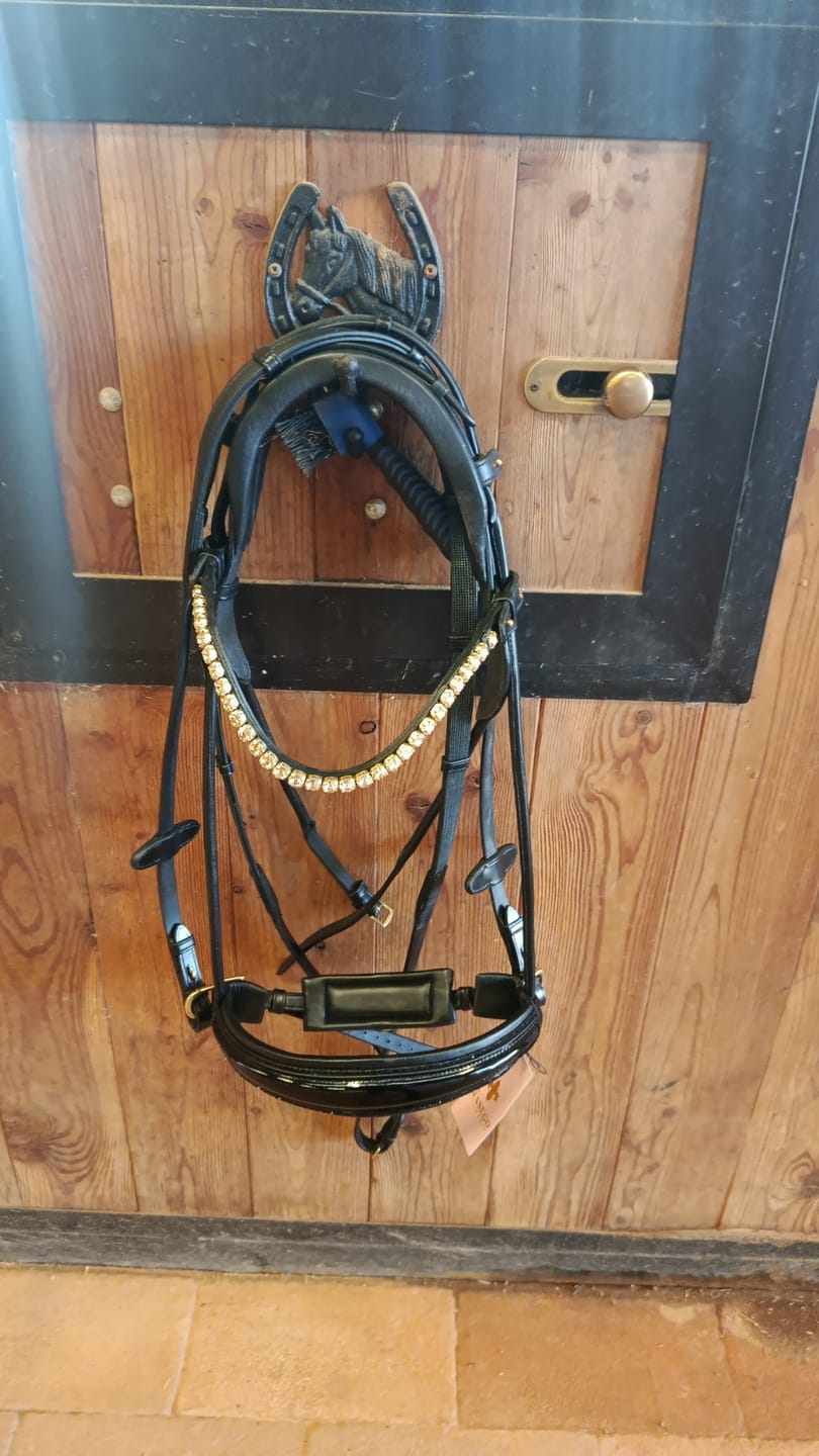 Customer photo review of Soft leather reins