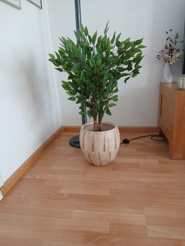 Customer photo review of Ficus Kunstboom 90cm