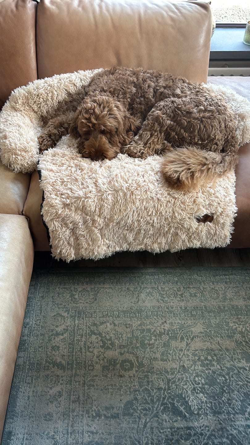 Customer photo review of Pet Perfect Fluffy Hondendeken Bank - Bankbeschermer - Wasbaar