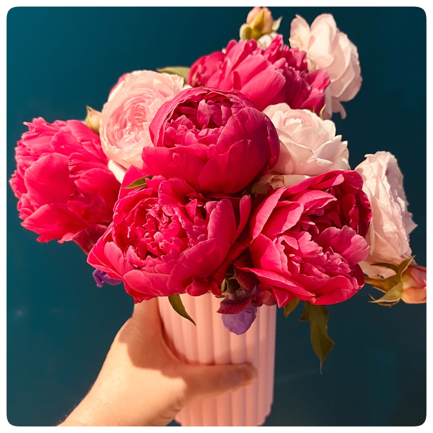 Customer photo review of The Frankie Vase