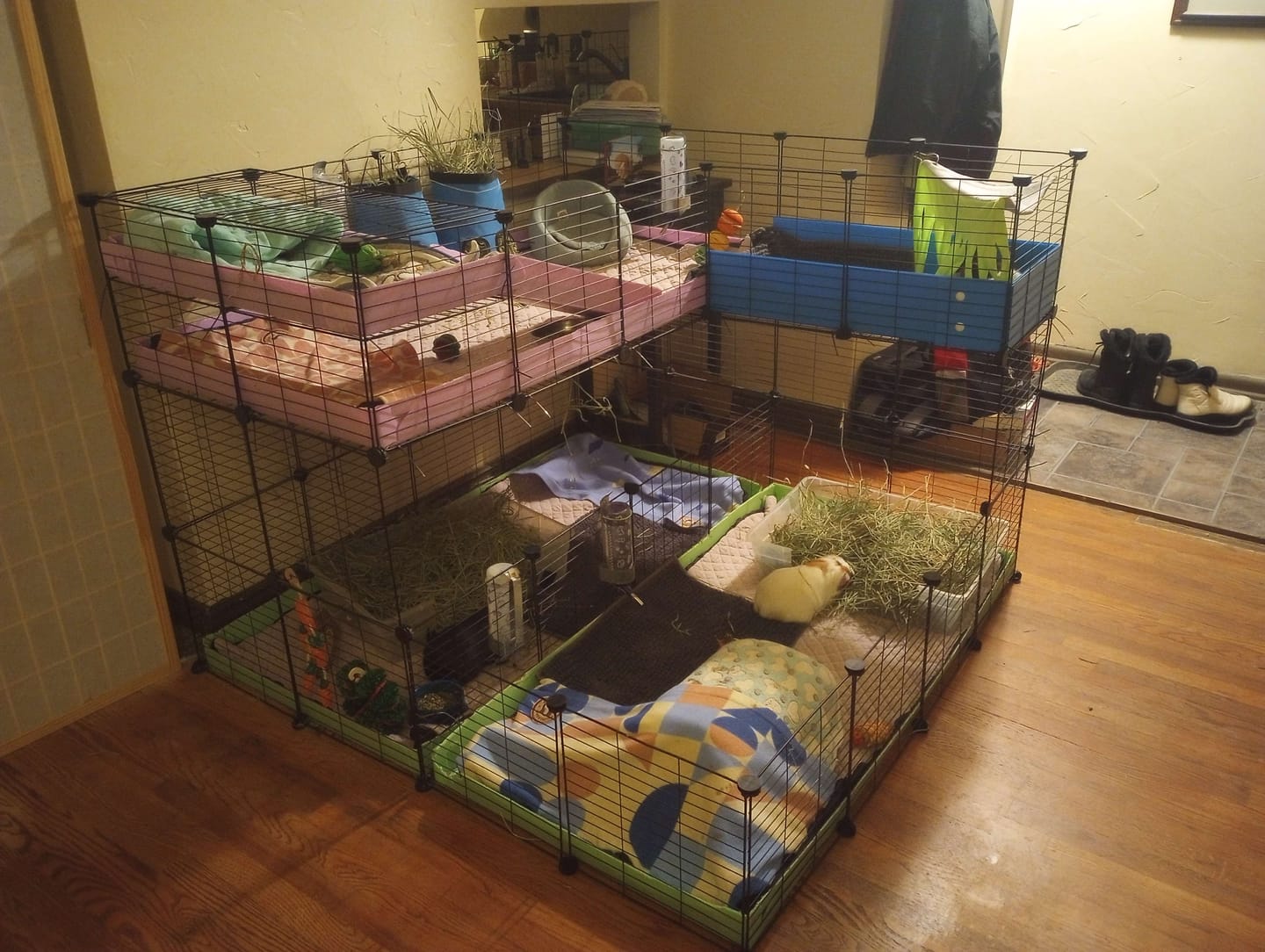 Customer photo review of C&C Cage Grids