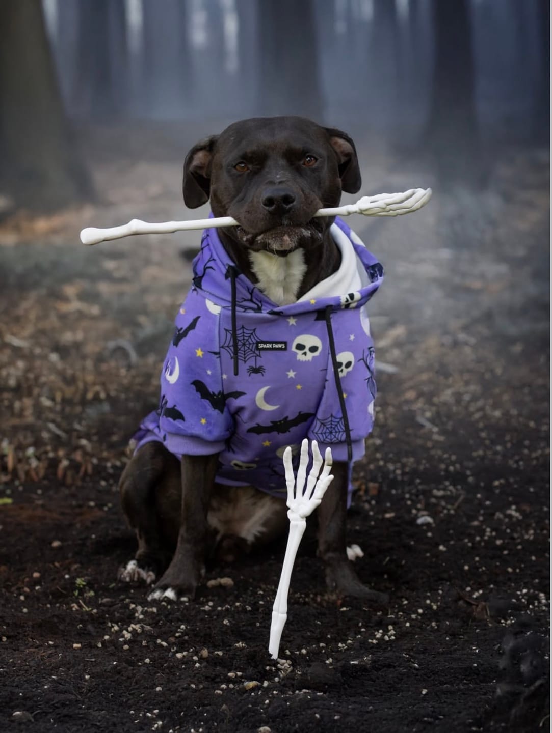Customer photo review of Halloween Dog Hoodie - Purple