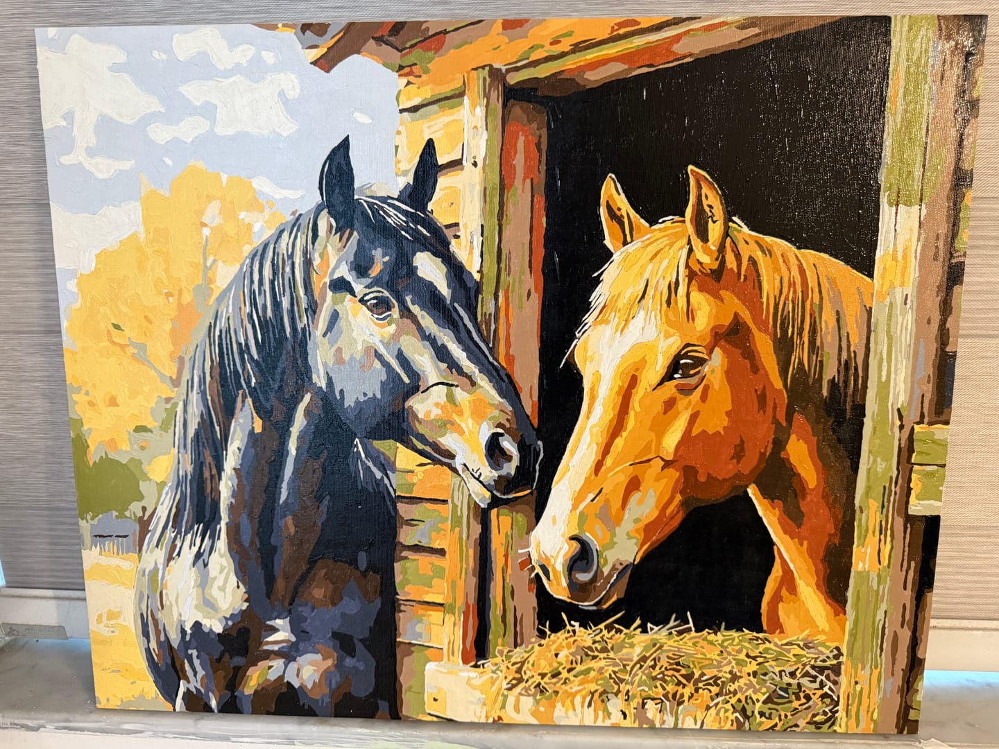 Customer photo review of Stable Companion