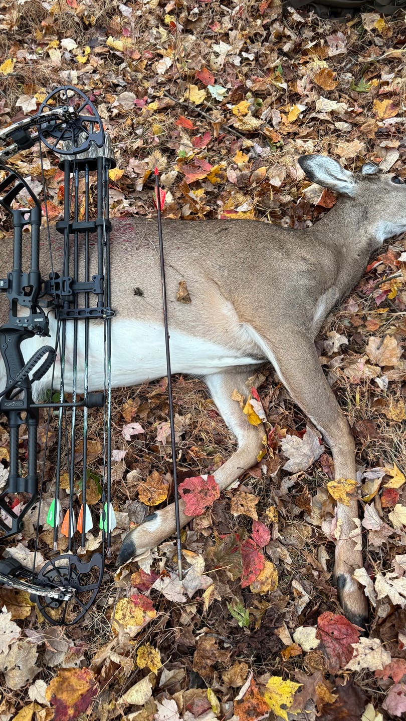 Customer photo review of Aluminum Broadheads
