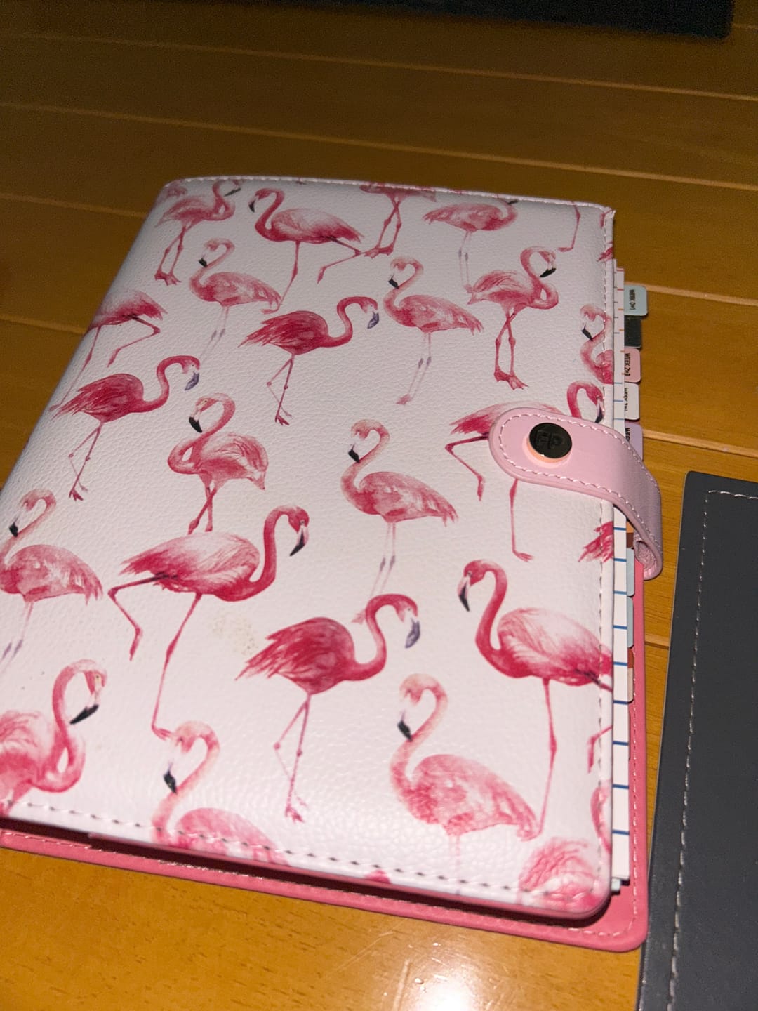 Customer photo review of Slimming World Compatible - Spacious - Organiser Refill