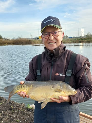 Customer photo review of WOWSERS