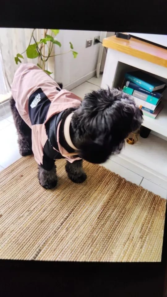 Customer photo review of Cute Waterproof Dog Raincoat Jacket S-5XL Small to Large | Dog Clothes