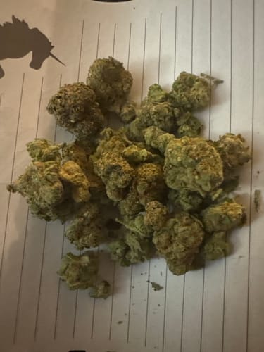 Customer photo review of Shipping Protection by Route