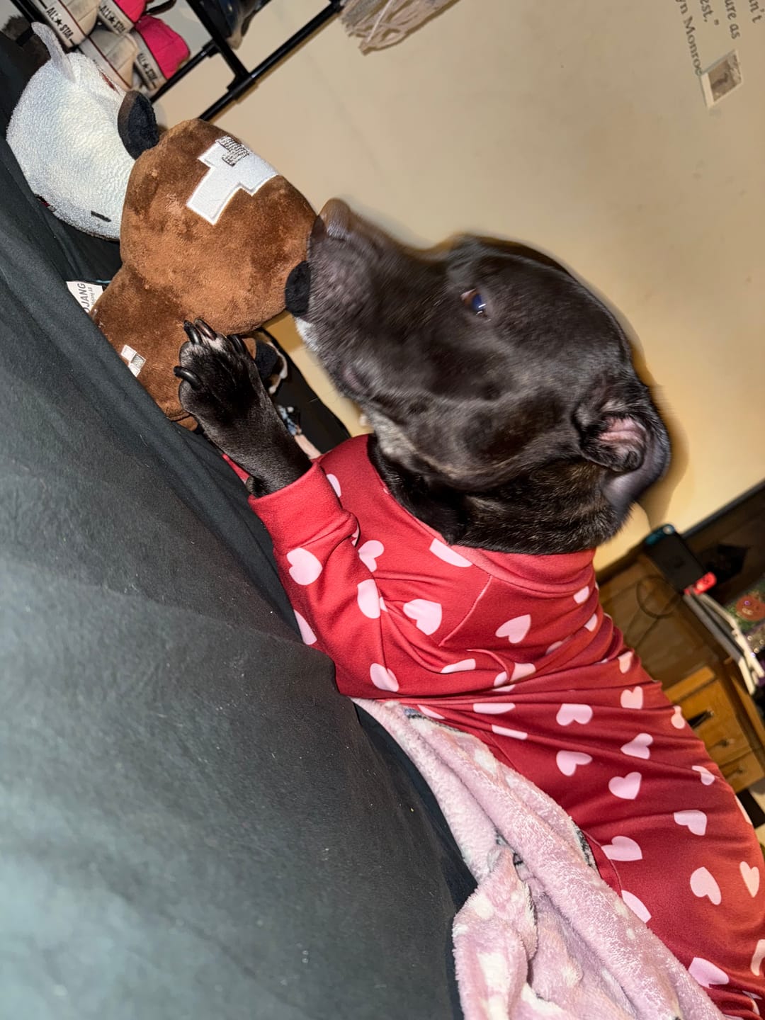 Customer photo review of Dog Pajama - Red Hearts
