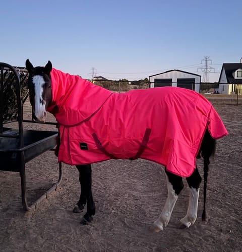 Customer photo review of HOT PINK 1200D PERFECT FIT WINTER BLANKET WITH NECK