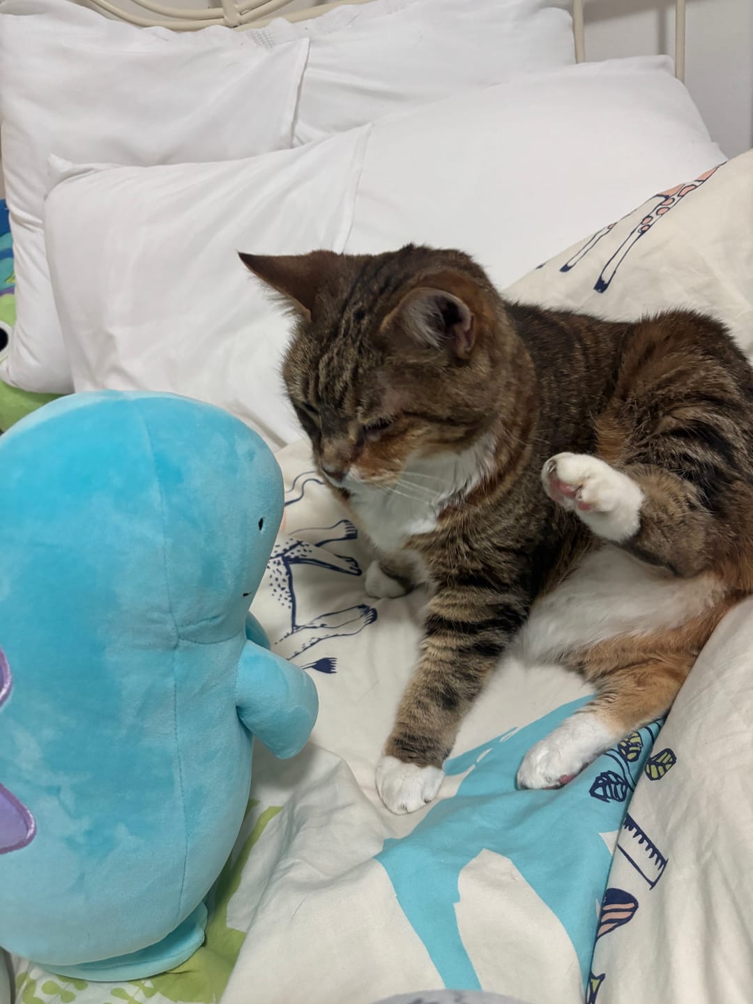Customer photo review of Pokemon Quagsire 12" Plush