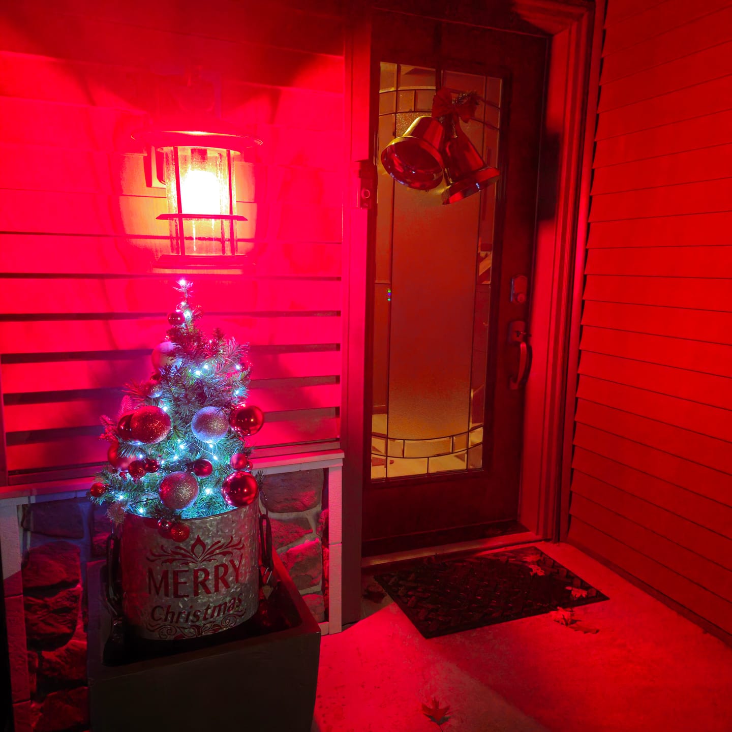 Customer photo review of BLOWOUT 33 FT | 100 Cool White LED Waterproof Micro Fairy String Lights with AC Plug-In Power