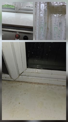 Dionne G. review of Genie pack of 5 microfibre cloths image 1 out of 1