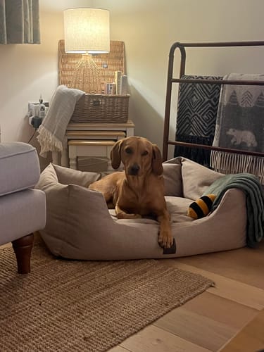 Customer photo review of The Slumber Tray Bed - Sandstone