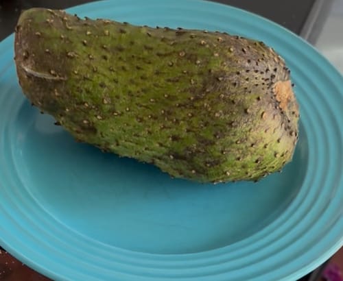 Customer photo review of Premium Soursop (Guanabana)