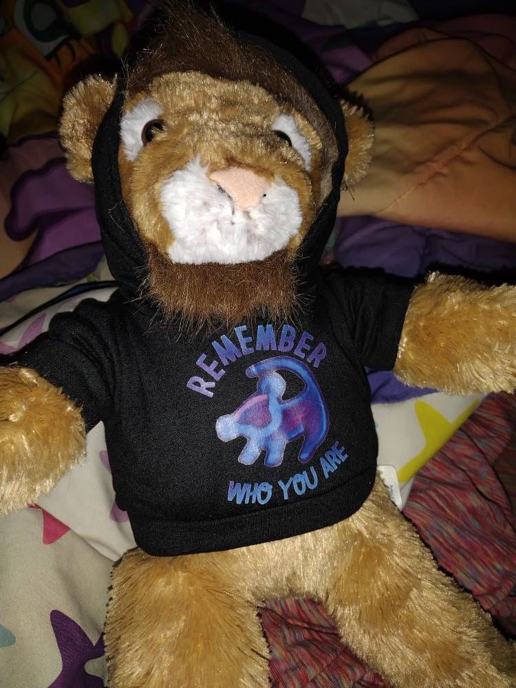 Customer photo review of CUSTOM Plushie HOODIE | Fits BAB and 14 to 16 Inch Stuffed Animals | Teddy Bear Outfit | Plushie Clothing