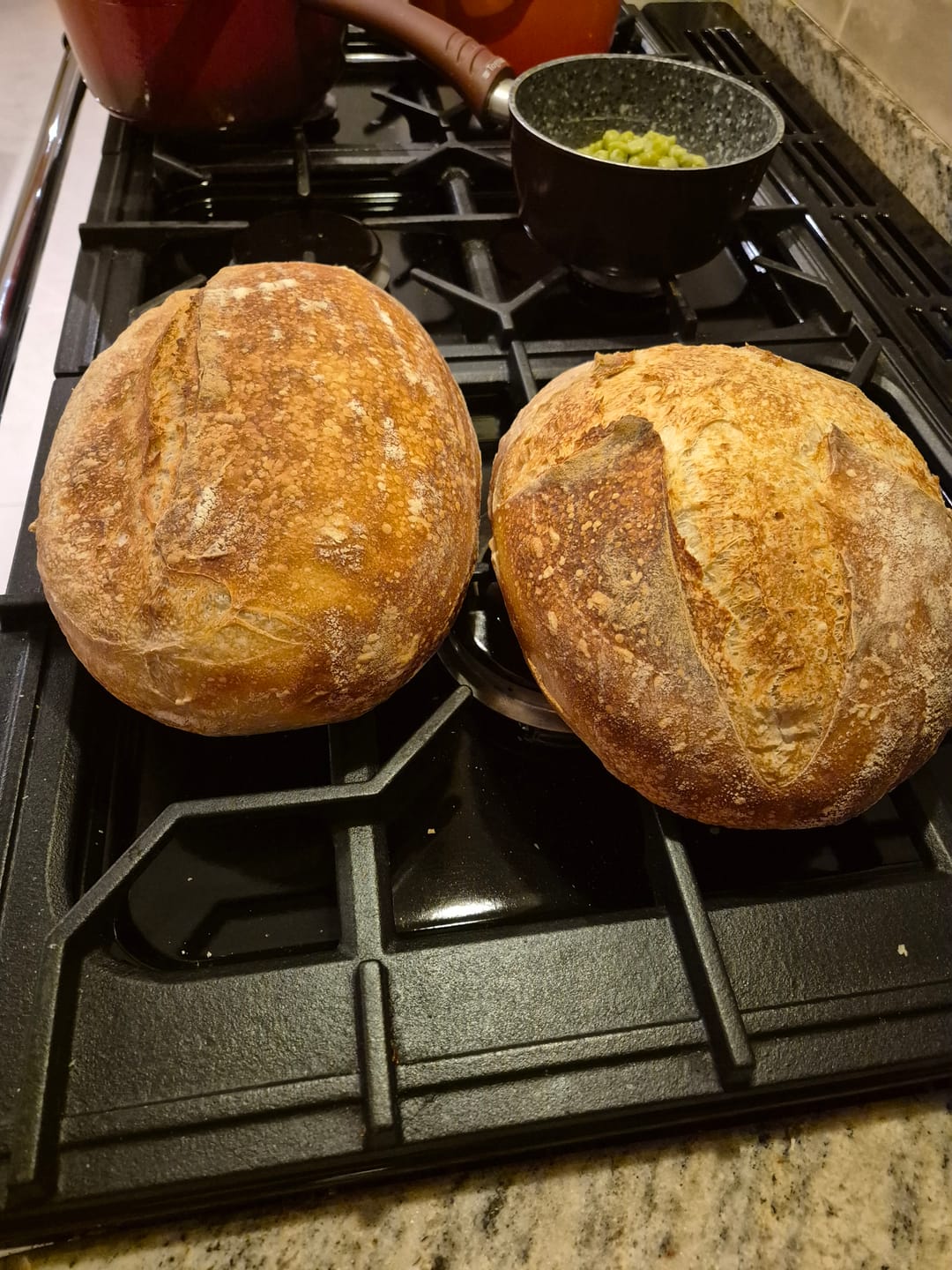 Customer photo review of Kefirko Organic Dehydrated Sourdough Starter 15g