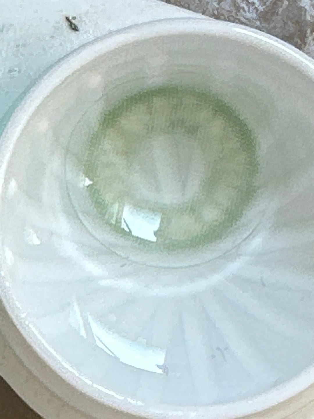 Customer photo review of Cloud Green