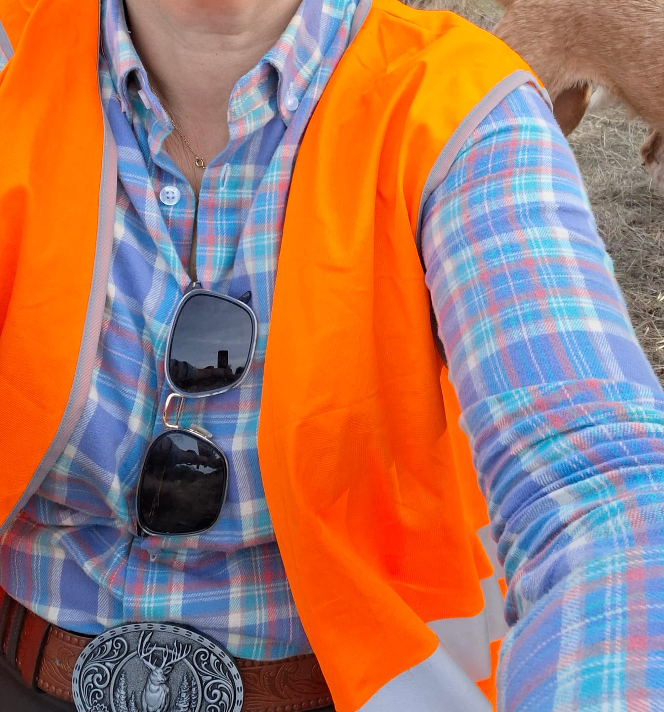 Customer photo review of Camisa Azul Cuadros