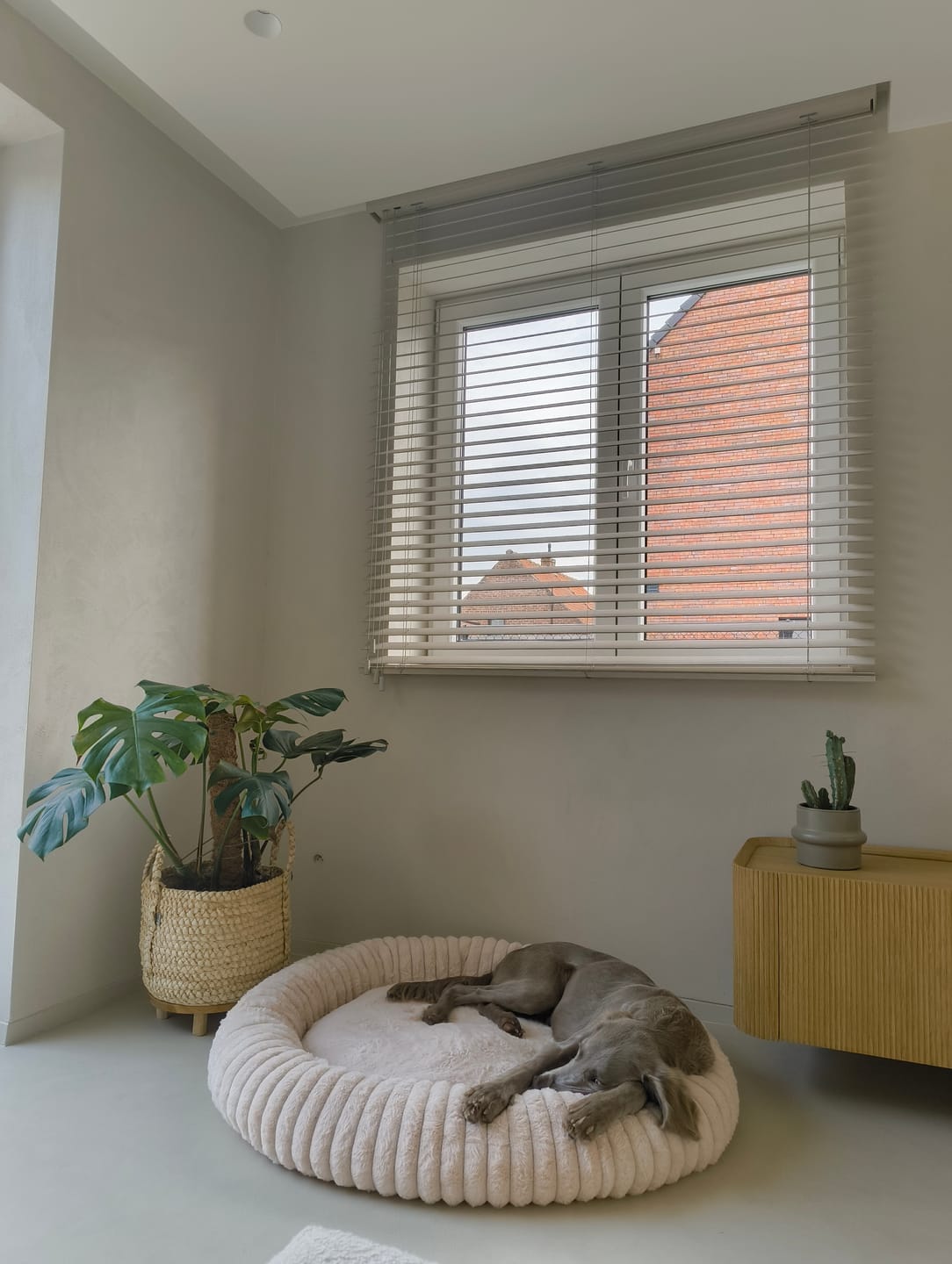 Customer photo review of Pet Perfect Hoes (ZONDER VULLING) voor Orthopedische Donutmand - ZONDER VULLING