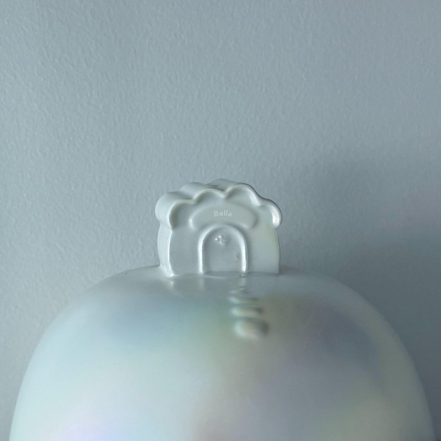 Customer photo review of Near the Rainbow Pet Urn