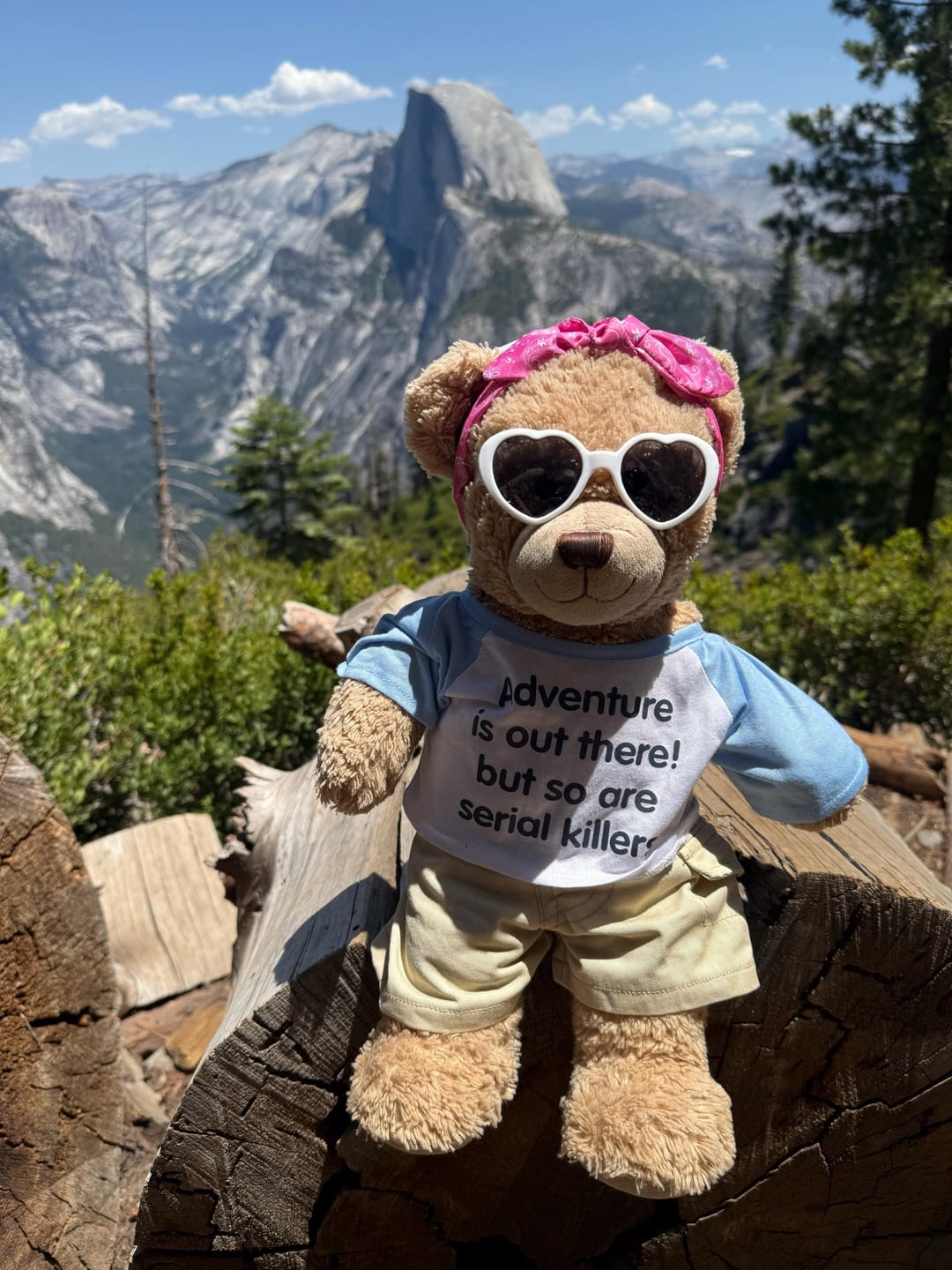 Customer photo review of CUSTOM Plushie T-SHIRT, Fits 16-inch Stuffed Animals, Plushie Clothing, Personalized Photo and Text Shirt
