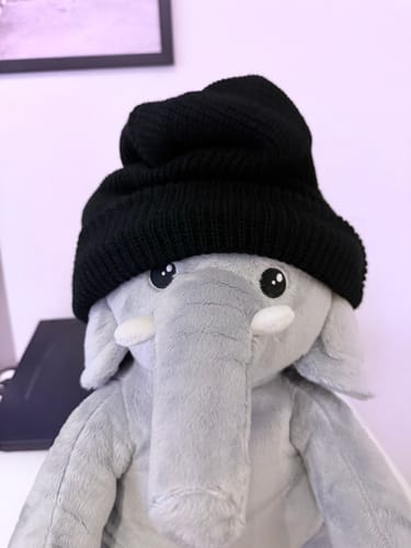 Fotorecensie van een klant over Olifant – Verzwaringsknuffel