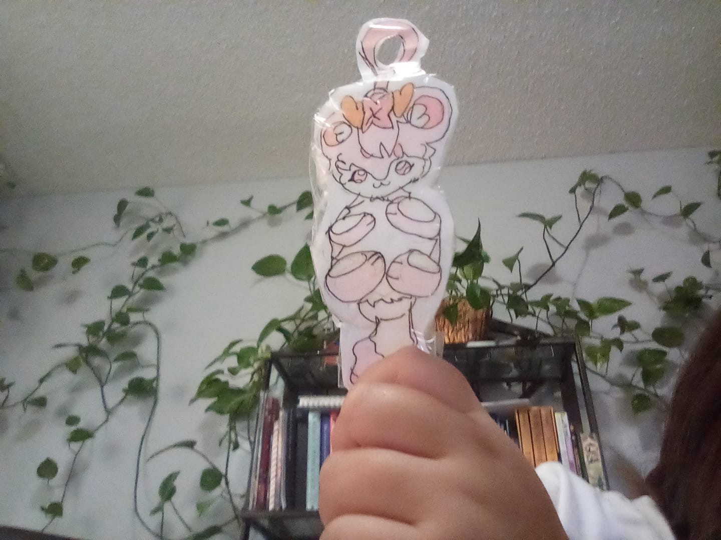 Customer photo review of Fabulous Beasts Palm Have Spirit Series Plush Blind Box