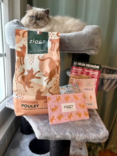 Avis photo d'un client sur Croquettes Chat Stérilisé Sans Céréales - Poulet