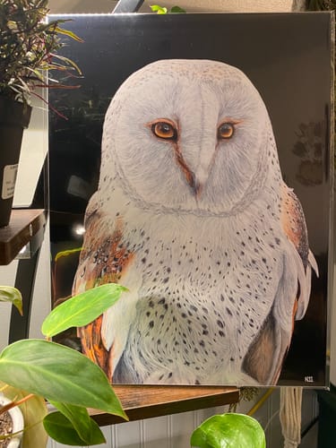 Customer photo review of 12x16 Retail Ready Prints