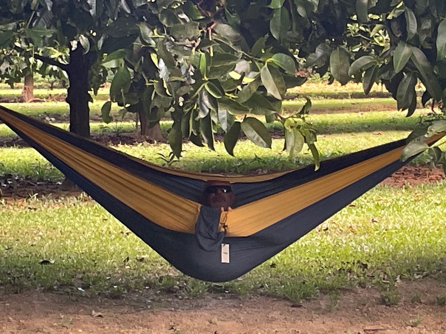 Customer photo review of Nomad Hammock with straps