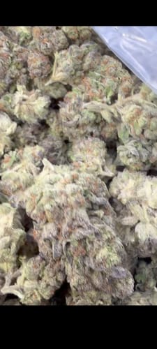 Customer photo review of Lemon Cherry Gelato Minis - Bulk Minis - Hybrid