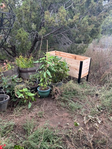 Customer photo review of 18" x 48" Raised Garden Bed - 30" TALL