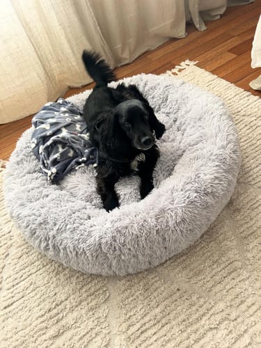 Customer photo review of CalmBed - Motverkar stress & hjälper mot ångest