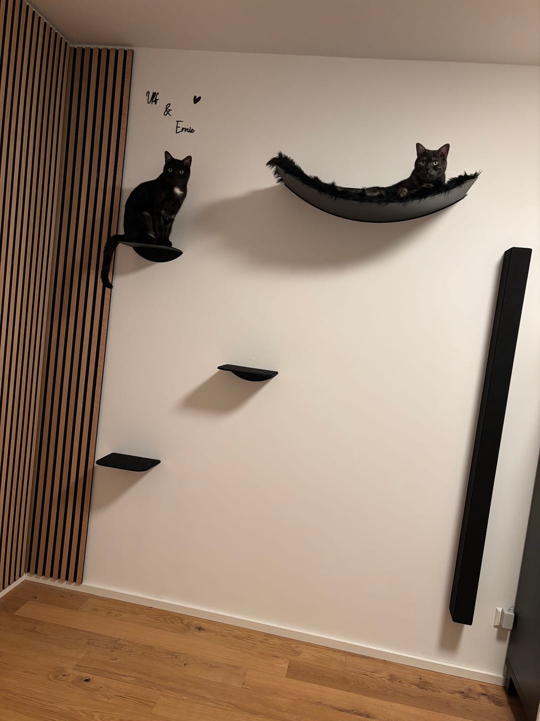 Customer photo review of STYA Katzen Kletterwand | Set Essence | Kratzstamm KS150 + XXL Hängematte WL170